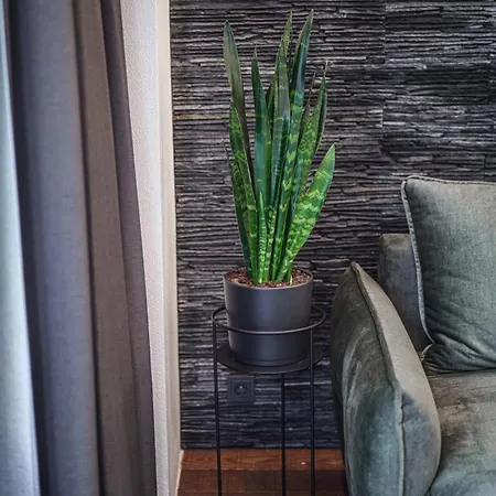 Sea Forest Loft * Kłajpeda